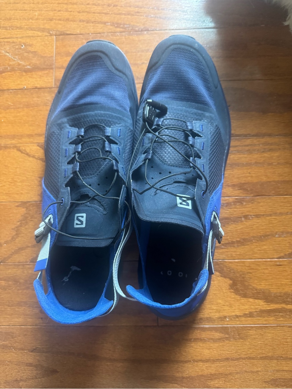 Salomon Men’s Black and Royal Blue Quick-Lace Trail Shoes